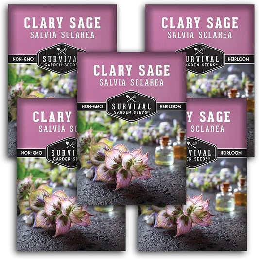Survival Garden Seeds - Clary Sage Seed for Planting - 5 Packs with Instructions to Plant & Grow Salvia Sclarea Medicinal Herbs in Your Herbal Garden - Non-GMO Heirloom Variety