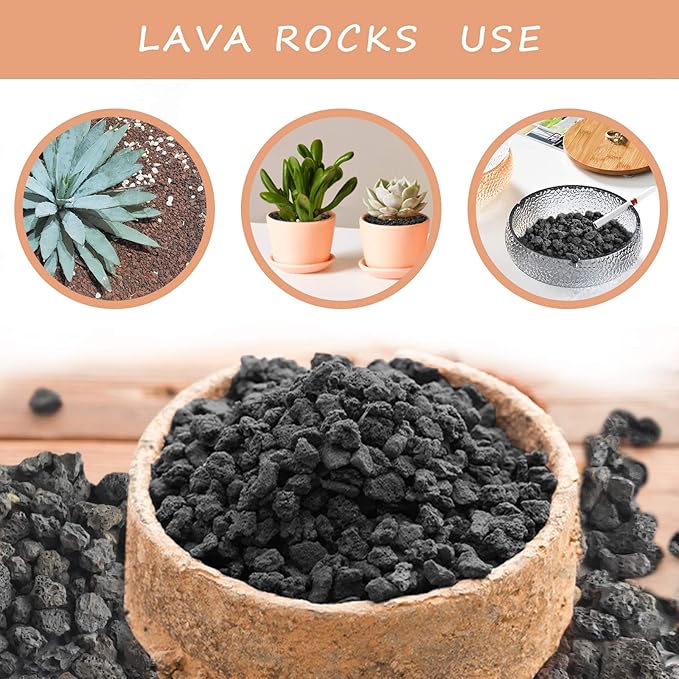 Black Lava Rocks for Plants -100% Pure Volcanic Rock No Dyes or Chemicals-Best Lava Stones Top Dressing for Cacti Succulents Plants,Bonsai-12LBS