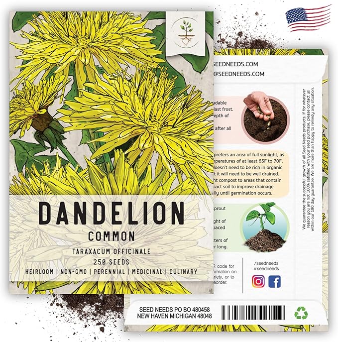Seed Needs Dandelion Seeds for Planting - Non-GMO, Heirloom & Untreated Perennial Herbs - Organically Grow Food for Tortoises, Rabbits & Bearded Dragons (1 Pack)