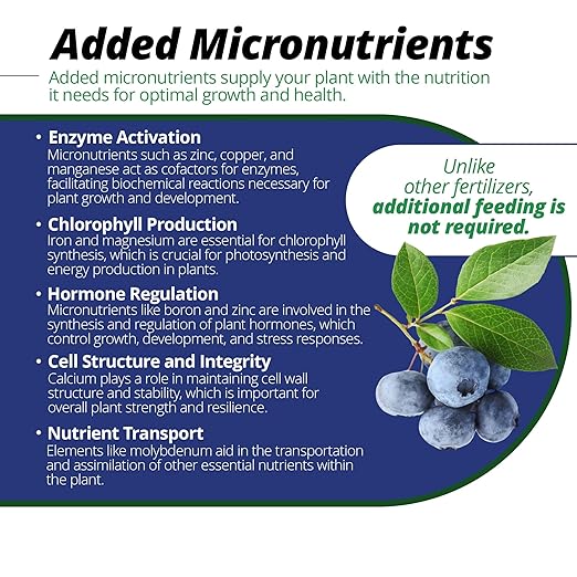 Jack's Classic 17-6-6 Acid Special Water-Soluble Fertilizer with Micronutrients to Promote Vegetative Growth and Blooms in Acid Loving Plants, 1.5lbs