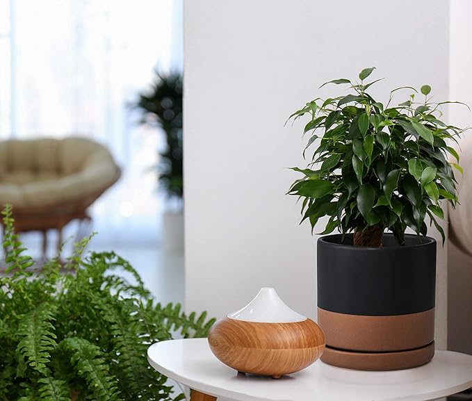 D'vine Dev Set of 2 Plants Pots, 6 Inch Ceramic Planter Pot for Plants with Drainage Hole and Saucer, Black/Speckled Tan, 94-V-C-7