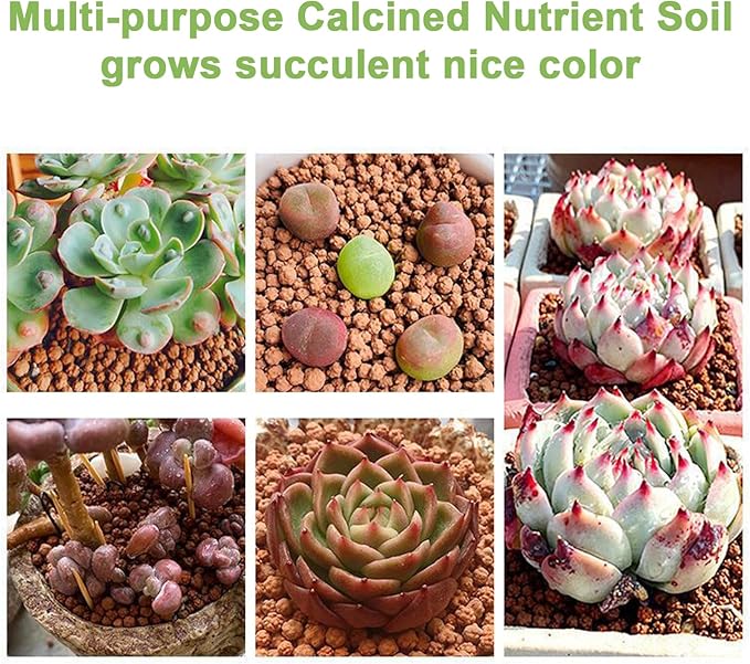 2.5lb Multi-Purpose Calcined Nutrient Soil for Lithops Succulent Cactus Promote Root Growth - Concave-Convex Shape Soil for Healthier, Stronger, and Larger Roots