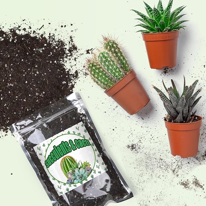 Cactus and Succulent Soil Potting Mix 10qt, Well Draining Chunky Soil Mix for Indoor Plants, Gritty Soil for Healthy Indoor Plants - Spike & Bloom