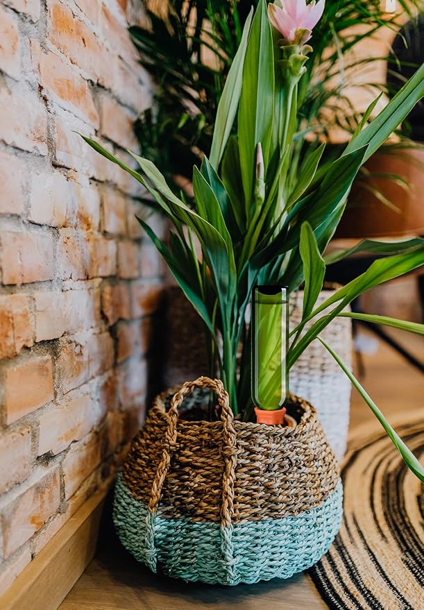 B SEPOR Ceramic Plant Waterer Terracotta Self Watering Spikes for Vacation or Holiday (10Pack)