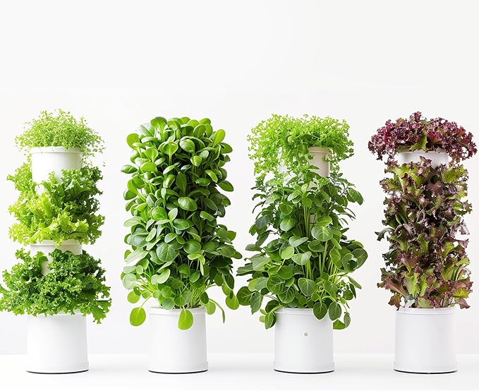 21 Varieties Vegetable Seeds for Planting, 7,000+ Heirloom Seeds Gift Pack, Non-GMO Veggies Seed Garden Kit for Indoor Outdoor Growing, Home Fresh Food Vegetable Supply