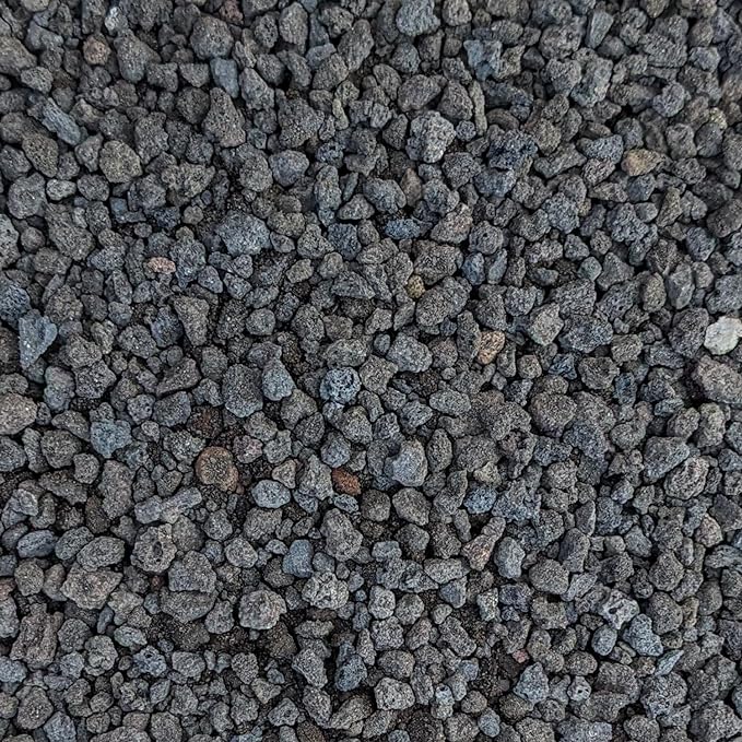 Black Lava Rocks for Plants Natural Horticultural Volcanic Rock (1/4" Size) (Mined in USA) (5-lb Bag)