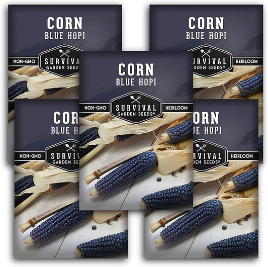 Blue Hopi Corn Seeds for Planting - 5 Packets with Instructions to Plant and Grow Heritage Blue Maize in Your Home Vegetable Garden - Non-GMO Heirloom Variety - Survival Garden Seeds