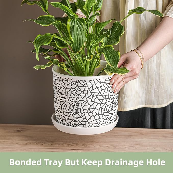8 Inch Plant Pots: Ceramic Planter Pot with Drainage Hole & Saucer - Planters for Indoor/Outdoor Plants - Flower Pot with Bonded Tray for Home/Office - Tile Design Debossed