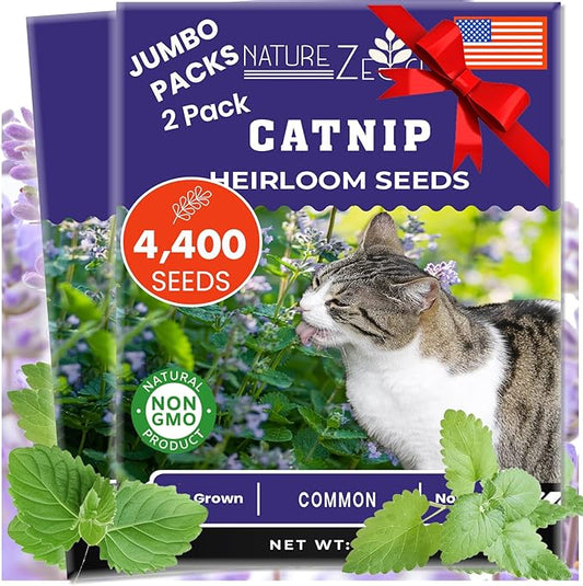 NatureZ Edge Catnip Seeds for Planting, 2.6 Grams, 4400+ Herb Seeds, Indoor or Outdoor Growing, Your Cat Will Love Them, Non-GMO