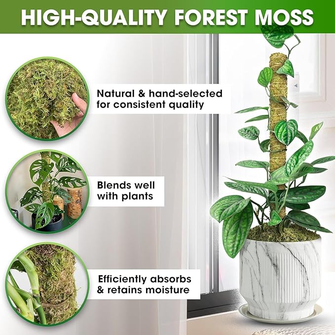 DUSPRO Natural Stackable Moss Pole for Plants Monstera Potted Plant Stakes for Indoor Plants Extendable Plant Pole Moss Sticks for Plants Climbing Vine Supporting Monstera Trellis 4Pcs 22''