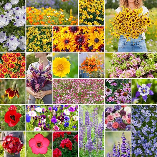 Eden Brothers Western Wildflower Mixed Seeds for Planting, 25 lb, 12,000,000+ Seeds with Cornflower, Blanket Flower | Attracts Pollinators, Plant in Spring or Fall, Zones 3, 4, 5, 6, 7, 8, 9, 10