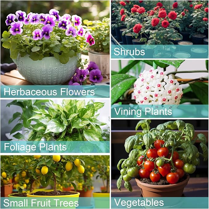 Potting Soil Mix for Indoor Plants 2qt, Organic Houseplant Soil Well Draining Dirt Ready to Use, Fit for House Plant Like Pothos, Philodendron, Monstera, African Violet