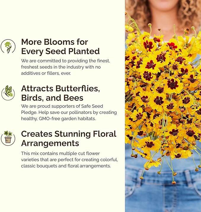 Eden Brothers Orange You Glad Flower Mixed Seeds for Planting, 1 lb, 480,000+ Seeds with Dahlia, Double Strawflower | Attracts Pollinators, Plant in Spring or Fall, Zones 3, 4, 5, 6, 7, 8, 9, 10