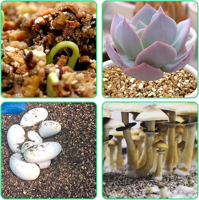 Halatool 6QT Horticulture Vermiculite Professional Soil Addictive Coarse Grade Vermiculite for Plants Gardening Mushrooms Seed Starting Cat Grass