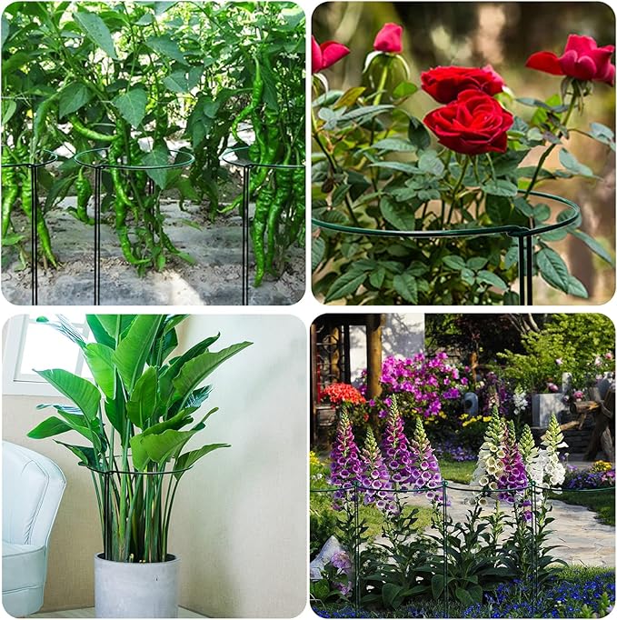 TCBWFY 10 Pack Garden Plant Support Stakes,10" Widex16 High Heavy Duty Interlinked Half Round Peony Support Ring Cage for Indoor Outdoor Plants,Plant Supports for Peony,Tomato,Hydrangea,Rose