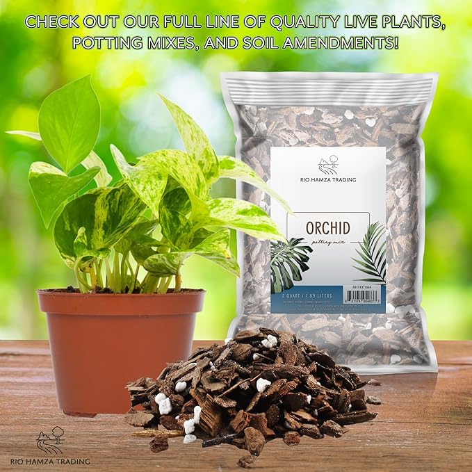 Houseplant Mulch (2 Quarts), Small Bark Wood Chips for Indoor, Patio, Potting Media, and Much More!