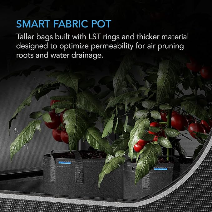 AC Infinity Heavy Duty Fabric Pots, 1 Gallon Aeration Reusable Grow Bags 5-Pack with 500G Thick Nonwoven Fabric and Multi-Purpose Rings, for Low Stress Plant Training Fruits, Vegetables, and Flowers