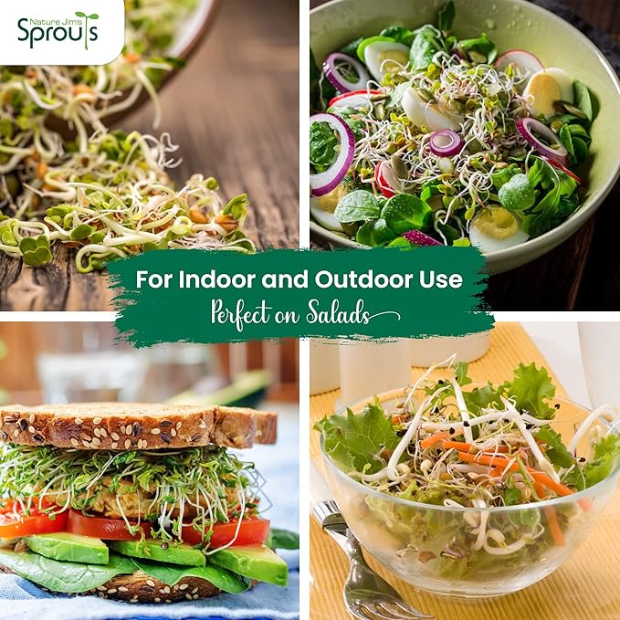 Nature Jims Sprout/Sprouting Seeds, Clover – Organic Non-GMO Premium Resealable Bag for Longer Freshness Rich in Vitamins, Minerals, Fiber, 16 oz