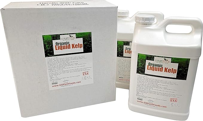 Kelp Fertilizer by GS Plant Foods (5 Gallon) - Organic Liquid Fertilizer for Gardens, Lawns & Soil - Liquid Kelp Concentrate