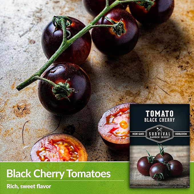 Black Cherry Tomato Seed for Planting - 5 Packets with Instructions to Plant & Grow Reddish-Purple Cherry Tomatoes in Your Home Vegetable Garden - Non-GMO Heirloom Variety - Survival Garden Seeds