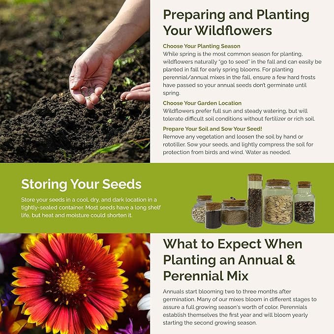 Eden Brothers New Mexico Wildflower Mixed Seeds for Planting, 1/4 lb, 120,000+ Seeds with Yarrow, Coreopsis | Attracts Pollinators, Plant in Spring or Fall, Zones