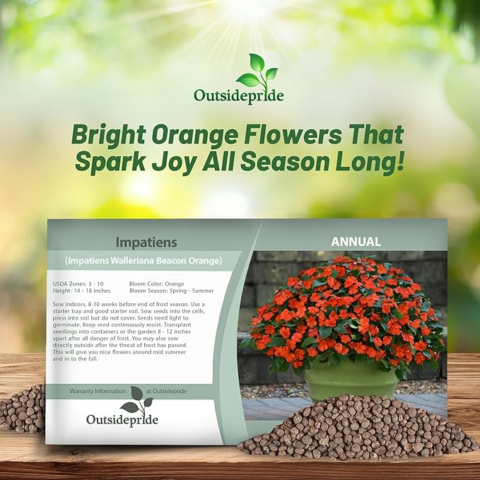 Outsidepride 50 Seeds Orange Impatiens Garden Flower Seeds for Planting