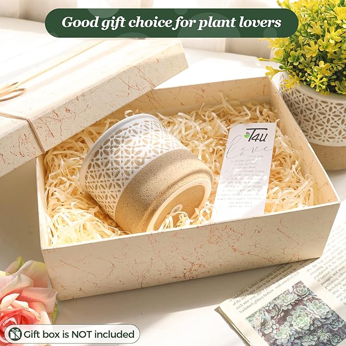 T4U Ceramic Planters for Indoor Plants, 4.2+5.4+6 Inch Plant Pots Set, Flower Pots with Drainage Holes and Plug, Ceramic Plant Pot for Indoor and Outdoor Plants, Morden Home Decor, Gifts for Mom