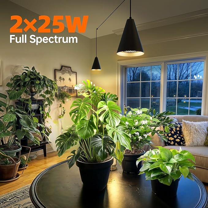 50W Double-Head Hanging Grow Lights for Indoor Plants, 3000K, Black LED Plant Light Bulbs with Timer and 16.4FT Power Cord, Perfect for Tall Plants, Gardens, Flowers, and Greenhouses