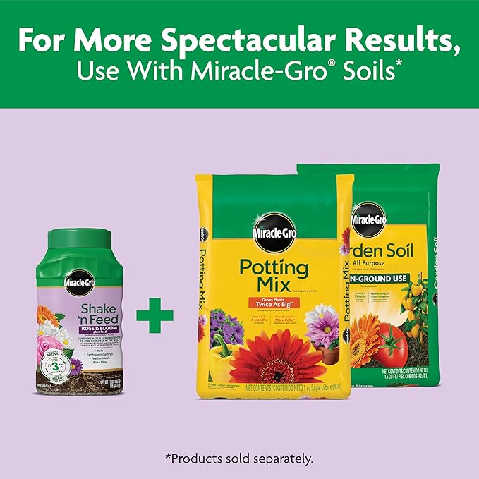 Miracle-Gro Shake 'n Feed Rose and Bloom Plant Food - Promotes More Blooms and Spectacular Colors (vs. Unfed Plants), Feeds Roses and Flowering Plants for up to 3 Months, 1 lb.