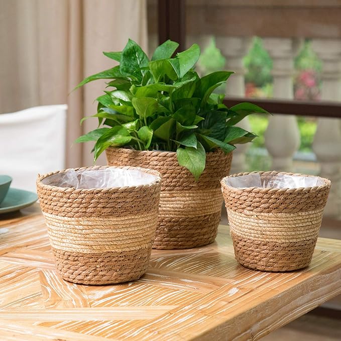 Plant Pots for Indoor Plants, Seagrass Plant Basket Flower Pots Cover, Plant Containers,9.8 inch,Beige&Brown, Set of 3