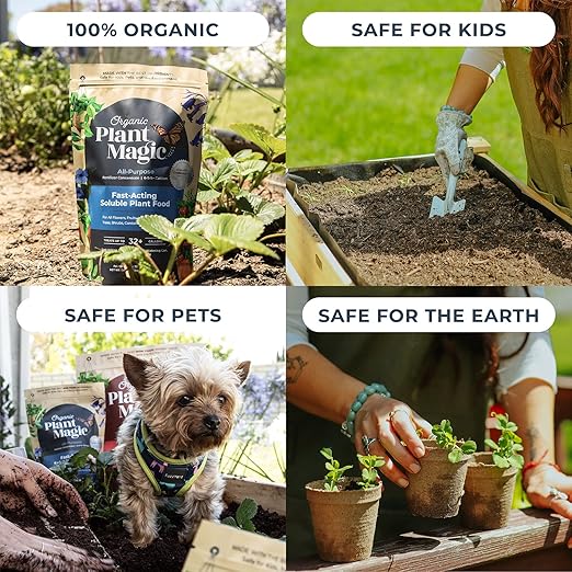 Organic Plant Magic - Truly Organic™ Fast-Acting Soluble Plant Food: All-Purpose Fertilizer Concentrate for All Flower Vegetable Herb Fruit Tree Shrub Container Garden & House Plants [One 1 lb Bag]