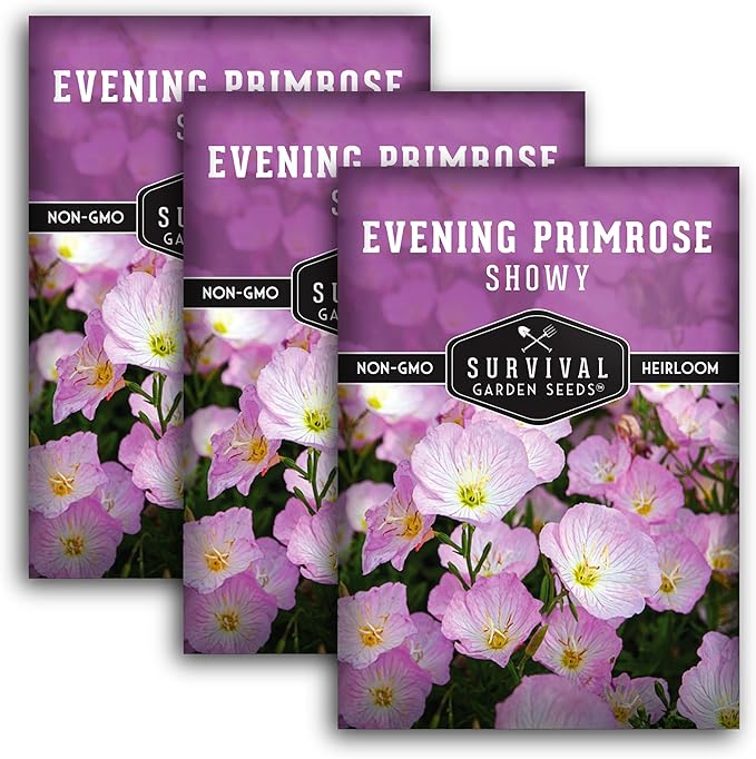 Showy Evening Primrose Seed for Planting - 3 Packets with Instructions to Plant and Grow Pinkladies in Your Home Flower Garden - Non-GMO Heirloom Variety - Survival Garden Seeds - Mexican Primrose