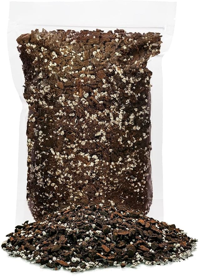 Albo Variegata Soil Blend - Trusted by Gardening Experts for Vibrant and Healthy Plants - 20 Quart (4 Bags of 5 Quart)