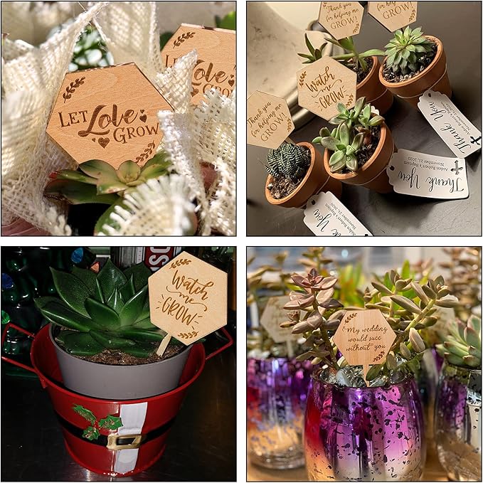Let Love Grow Succulent Tags Wedding Favors, PARBEE 20PCS Hexagon Plant Sticks Wooden Stake Signs for Wedding Bridal Shower Baby Shower Anniversary Succulent Party Favors
