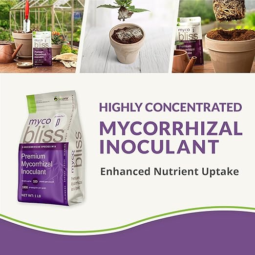 Myco Bliss Powder (200 g) - Mycorrhizal Fungi for Soil - 5 Strain Mycorrhizal Inoculant with 1000 Propagules Per Gram - Highly Concentrated Mycorrhizae for Plants, Potting Soil, & Garden Soil