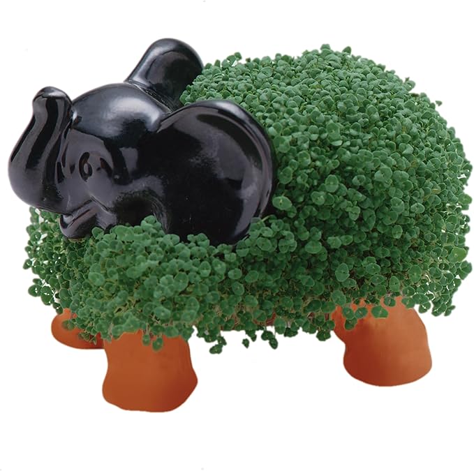 Chia Pet Elephant with Seed Pack, Decorative Pottery Planter, Easy to Do and Fun to Grow, Novelty Gift, Perfect for Any Occasion