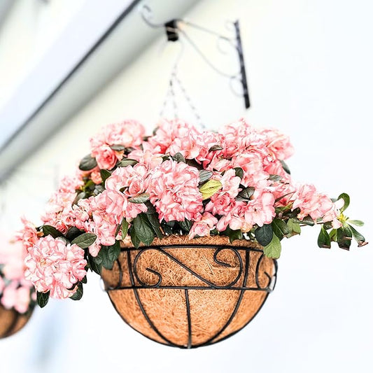 LaLaGreen Hanging Planter for Outdoor Plants (6 Pack, 16 Inch) Hanging Baskets with Coco Liner, Metal Wire Flower Basket Pots with Hook Hanger Balcony Porch Farmhouse Country Style Garden Decor