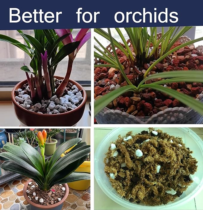 5 QT Professional Grade Horticultural Organic Perlite (5 QT, Large Size - Perlite)