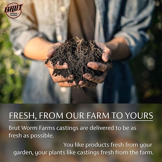 Brut Organic Cow Compost - 10 Quart - Nutrient-Rich Fertilizer for Thriving Gardens - Safe, Pure, and Effective, (4 Pack)