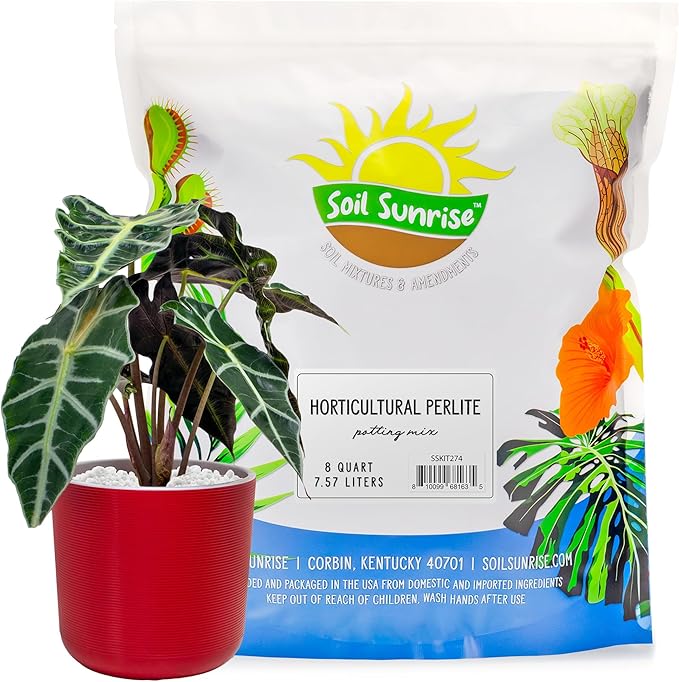 Horticultural Perlite Soil Additive (8 Quarts); for Enhanced Potting Mix Drainage and Growth