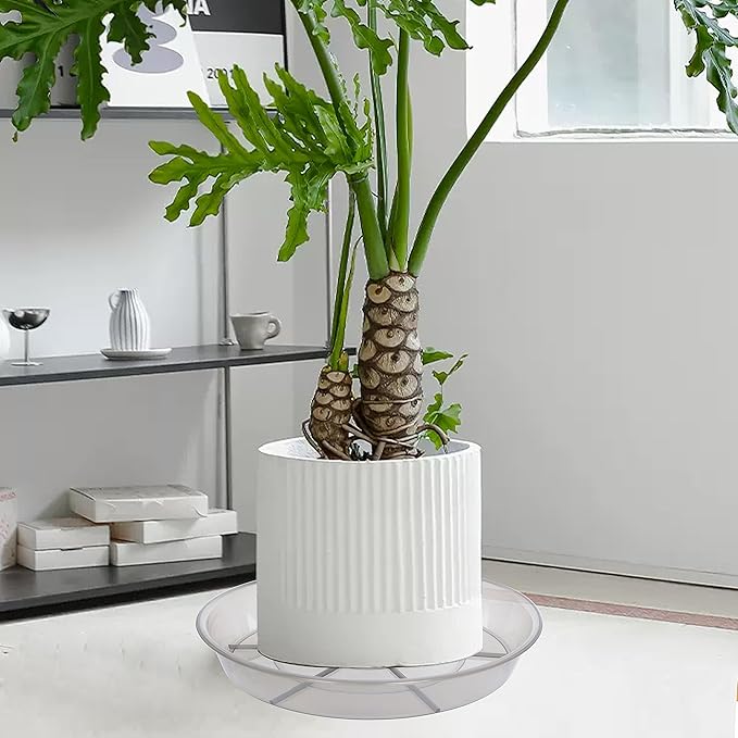 6 Pack Plant Saucer Drip Tray, 4 5 6 8 9 10 12 14 16 18 inch, Heavy Sturdy Plastic Planter Flower Pot Saucers for Indoor Outdoor Garden, Plant Water Drip Trays for pots Base (4", Grey)