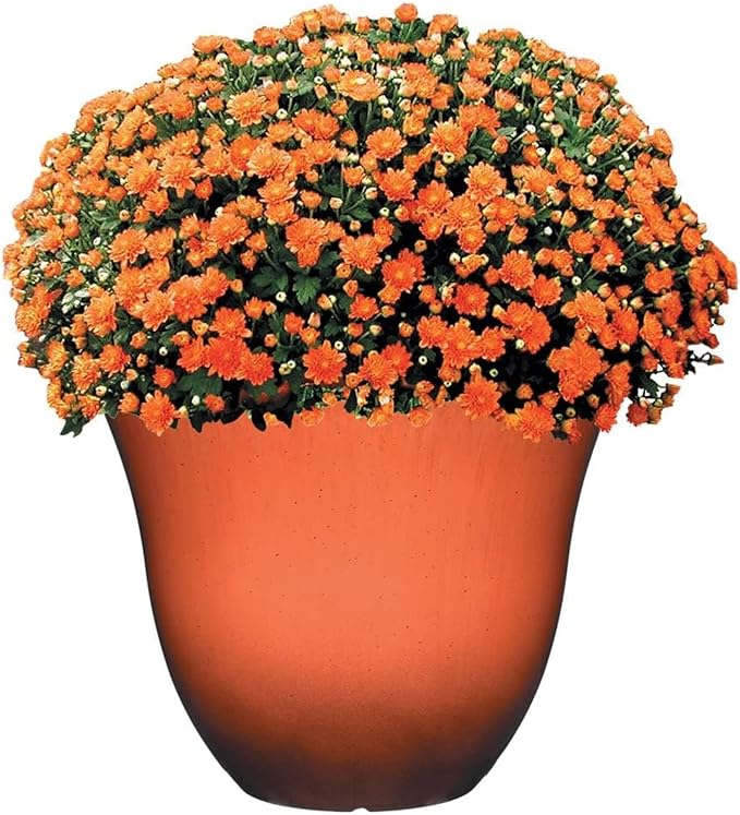 Classic Home and Garden Indoor/Outdoor Round Honeysuckle Resin Flower Pot Planter, Orange Ember, 13"