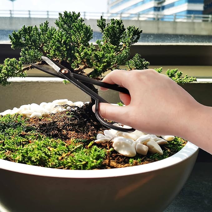 BambooMN Bonsai Basics Set - 7.2" Trimming Shears & 7" Heavy Duty Butterfly Shear - 3 Sets