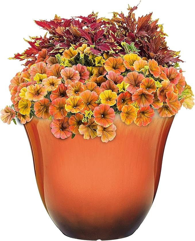 Classic Home and Garden Honeysuckle Resin Flower Pot Planter, Tequila Sunrise, 13"