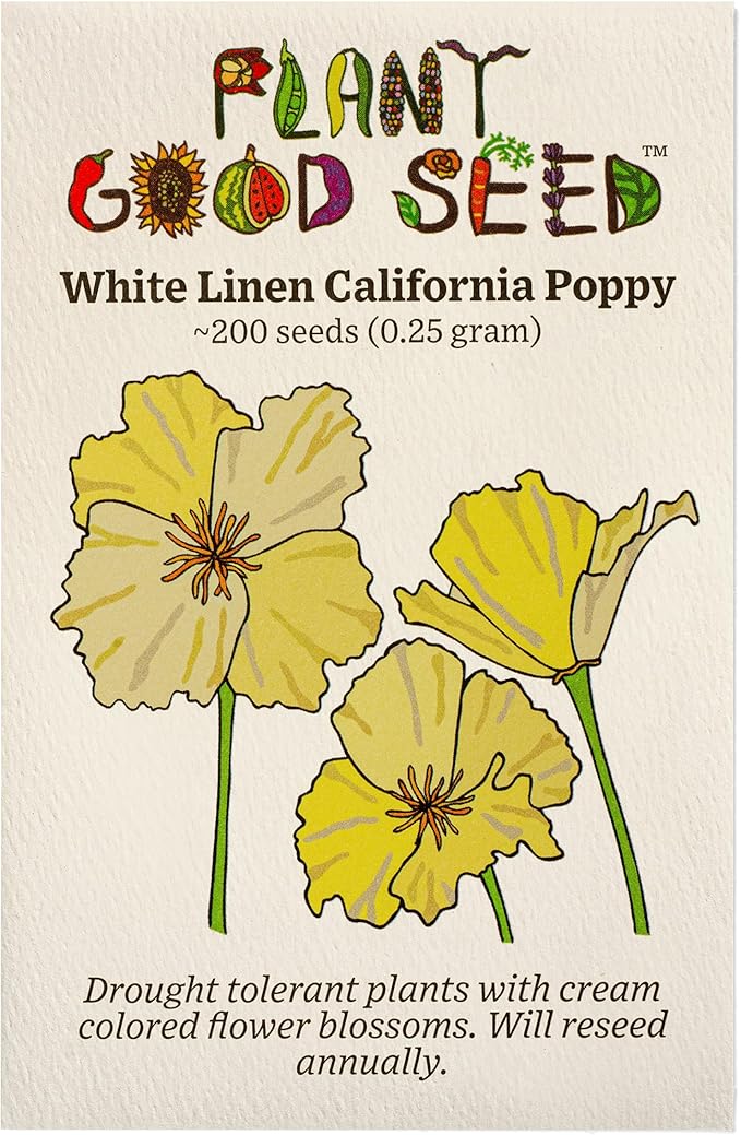 Plant Good Seed White Linen California Poppy Seeds - Pack of 200, Heirloom Seeds for Planting Flowers - Gardening Supplies, Herb Garden, Wildflower, Flower Seeds to Plant Outside - from USA
