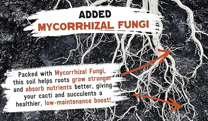 Cactus Soil Potting Mix for Cacti & Succulents - Cactus Soil with Mycorrhizal Fungi - 4.4 QTS - High Drainage Indoor Potting Soil - Frontier Soil