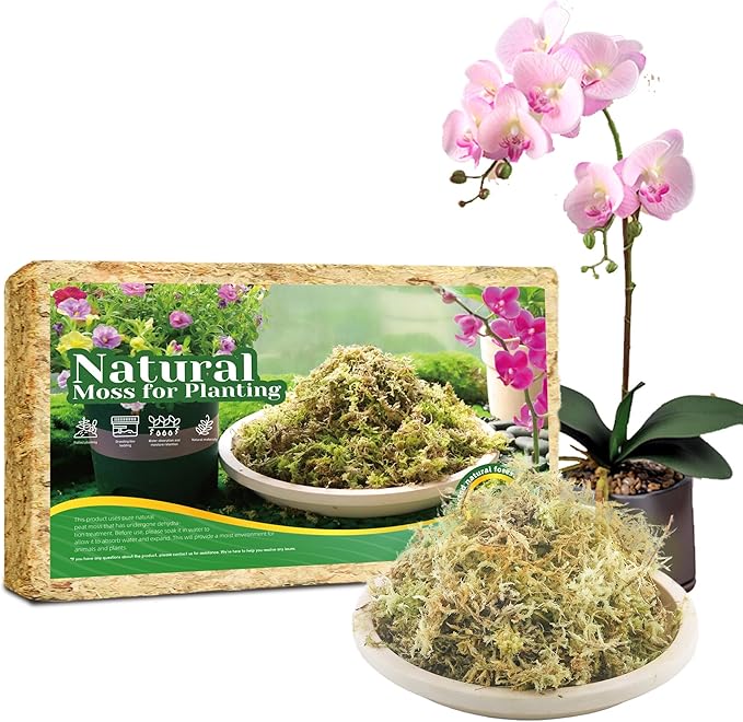 12Oz Sphagnum Moss for Plants Indoor, Premium Peat Moss for Reptiles Terrarium-12 Quarter, Natural Long Fiber Orchid Moss for Repotting Propagation Succulent Sarracenia Carnivorous Gardening