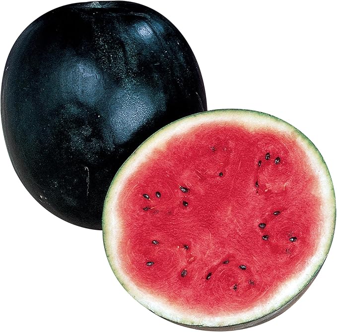 Burpee Sugar Baby Watermelon Seeds 75 seeds