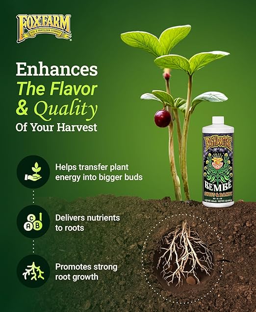 Foxfarm Bushdoctor Bembé Concentrate, Fast-Acting Liquid Plant Fertilizer, Enhances Natural Sugars for Sweetness and Flavor - Easy Absorption for Soil, Containers, and Hydroponics- NPK 0-1-3 (Quart)