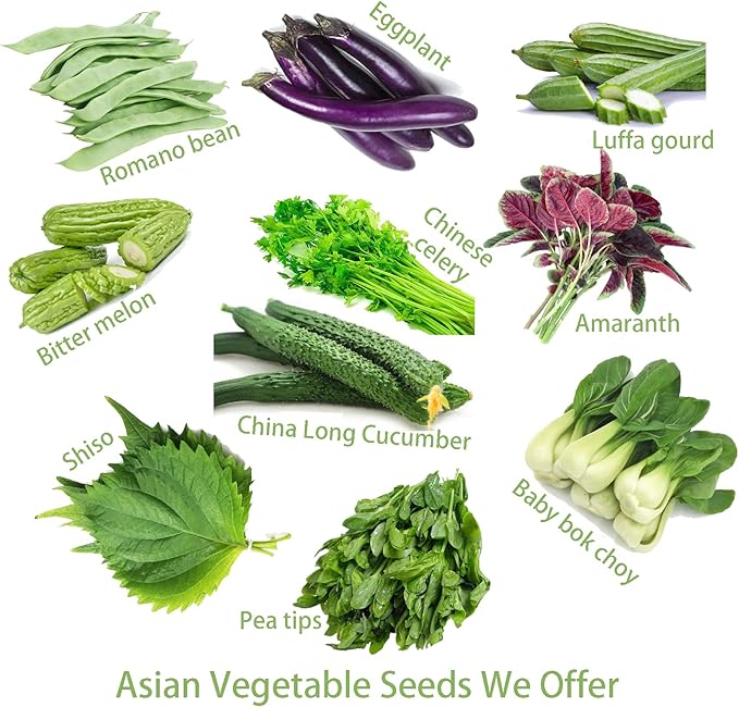 2025 Early Bird-Hot Pepper Seeds for Planting,Non-GMO Heirloom Seeds Vegetable Seeds,Asian Chile Pepper Seeds for Home Vegetable Garden & Hydronic Pods,泰国小米椒(50ct Veggie Seeds-Thai Bird)